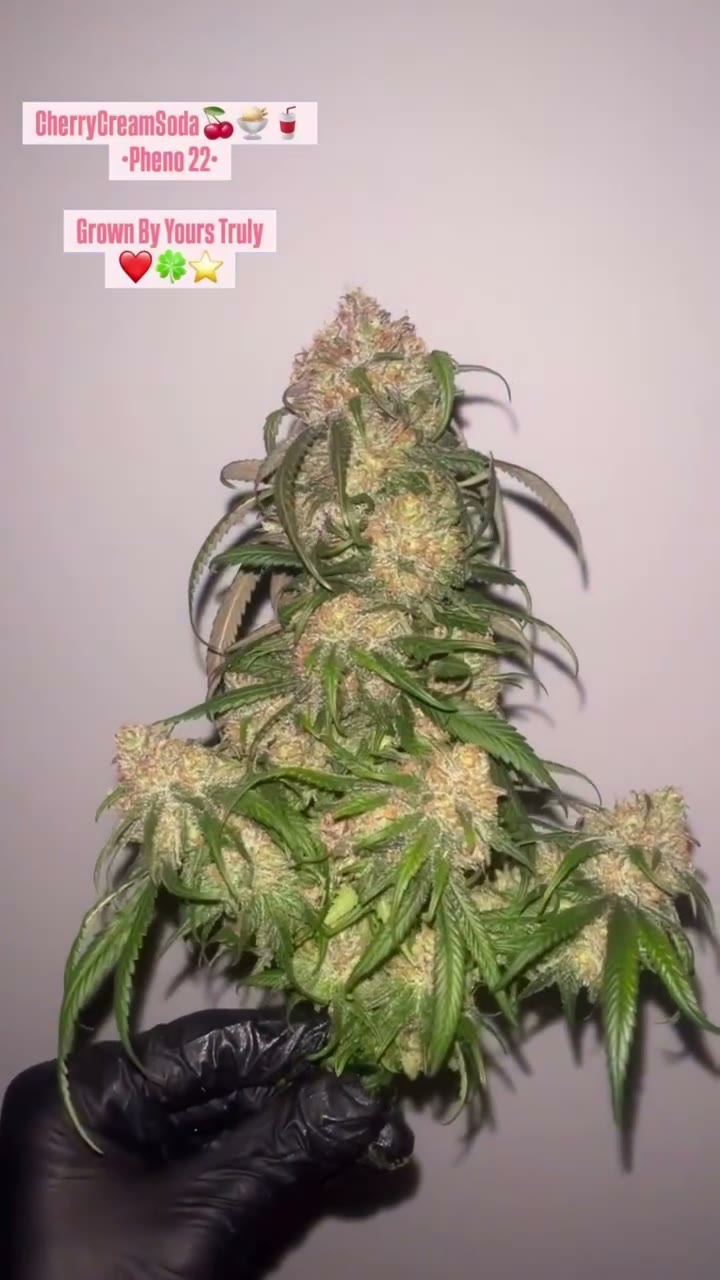 Cherry Cream Soda