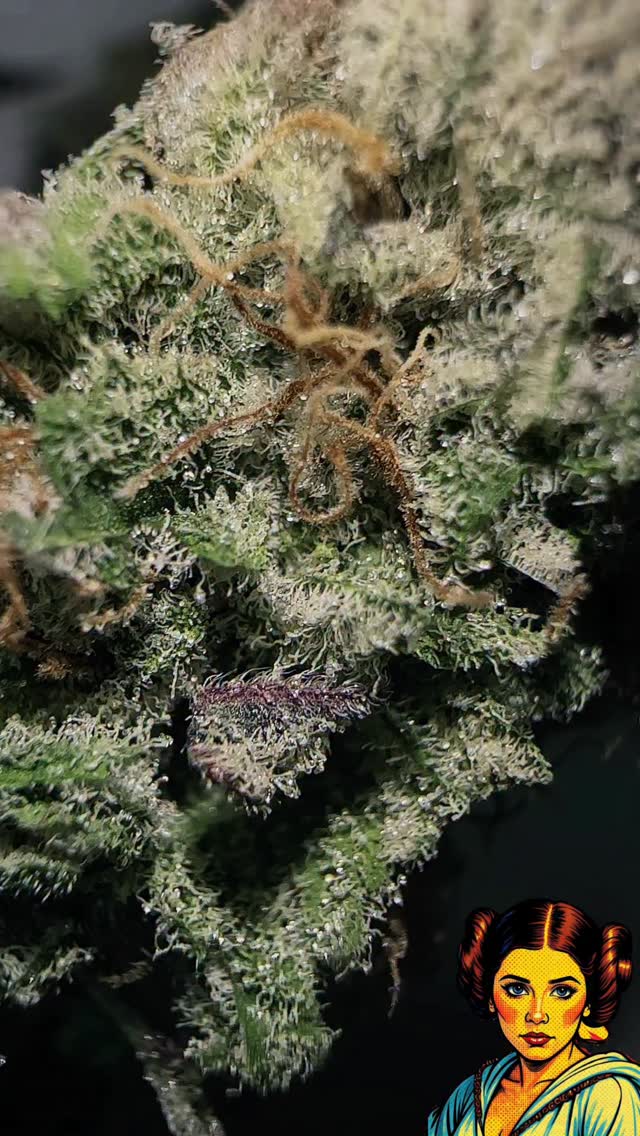 Crème Fraîche