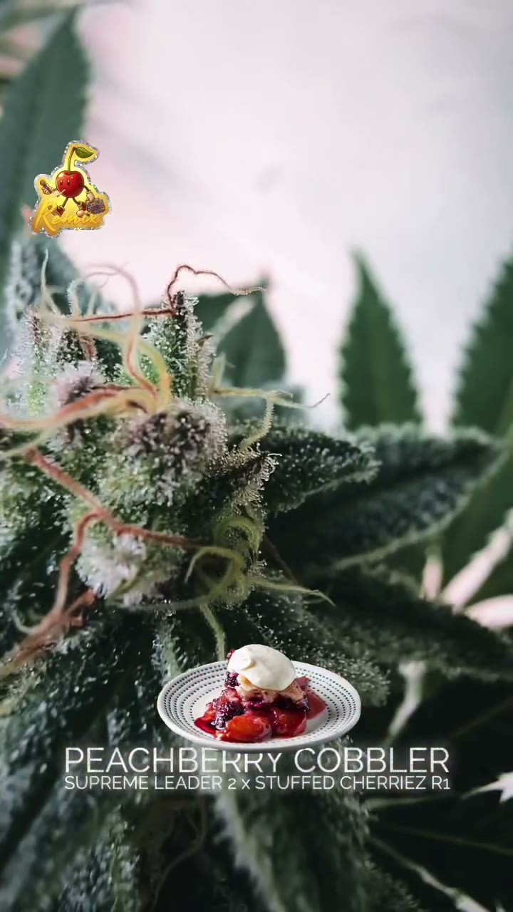 Peachberry Cobbler